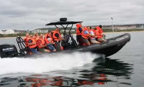 boat with tourists on the water